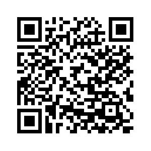 Play Store QR code